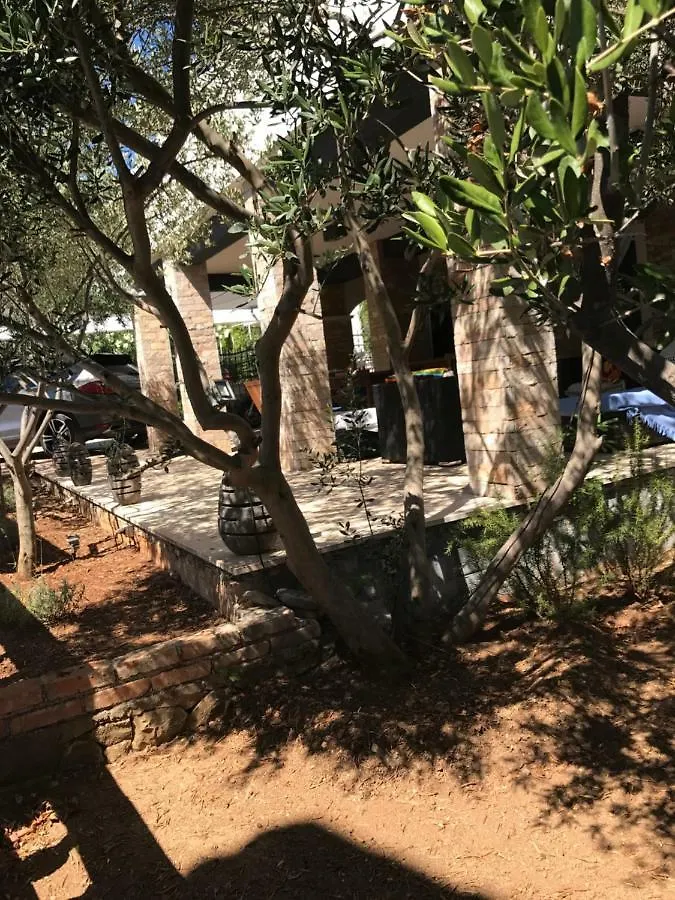 Apartment Villa Vilma Trogir